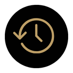 Rewind Icon